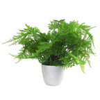Faux 30cm Artificial Potted Lady Fern