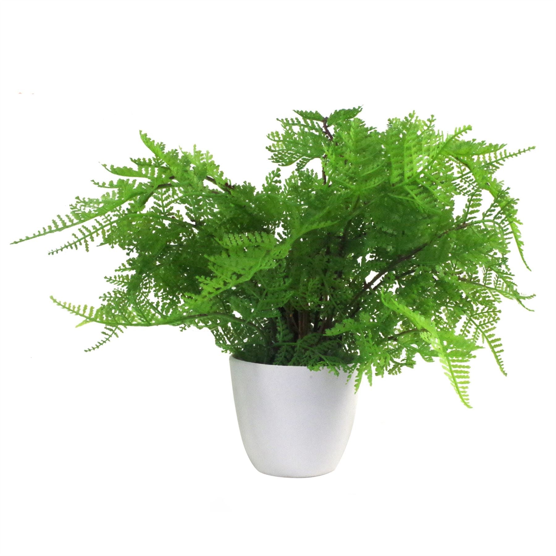 Faux 30cm Artificial Potted Lady Fern