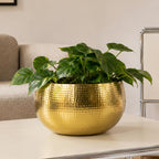 Leaf Metal Bowl Planter 32 x 20cm Hammered Gold Colour Straight Edge