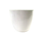 Faux 30cm Artificial Potted Lady Fern