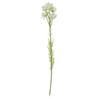 60cm Artificial White Starflower Stem 5 Flowers