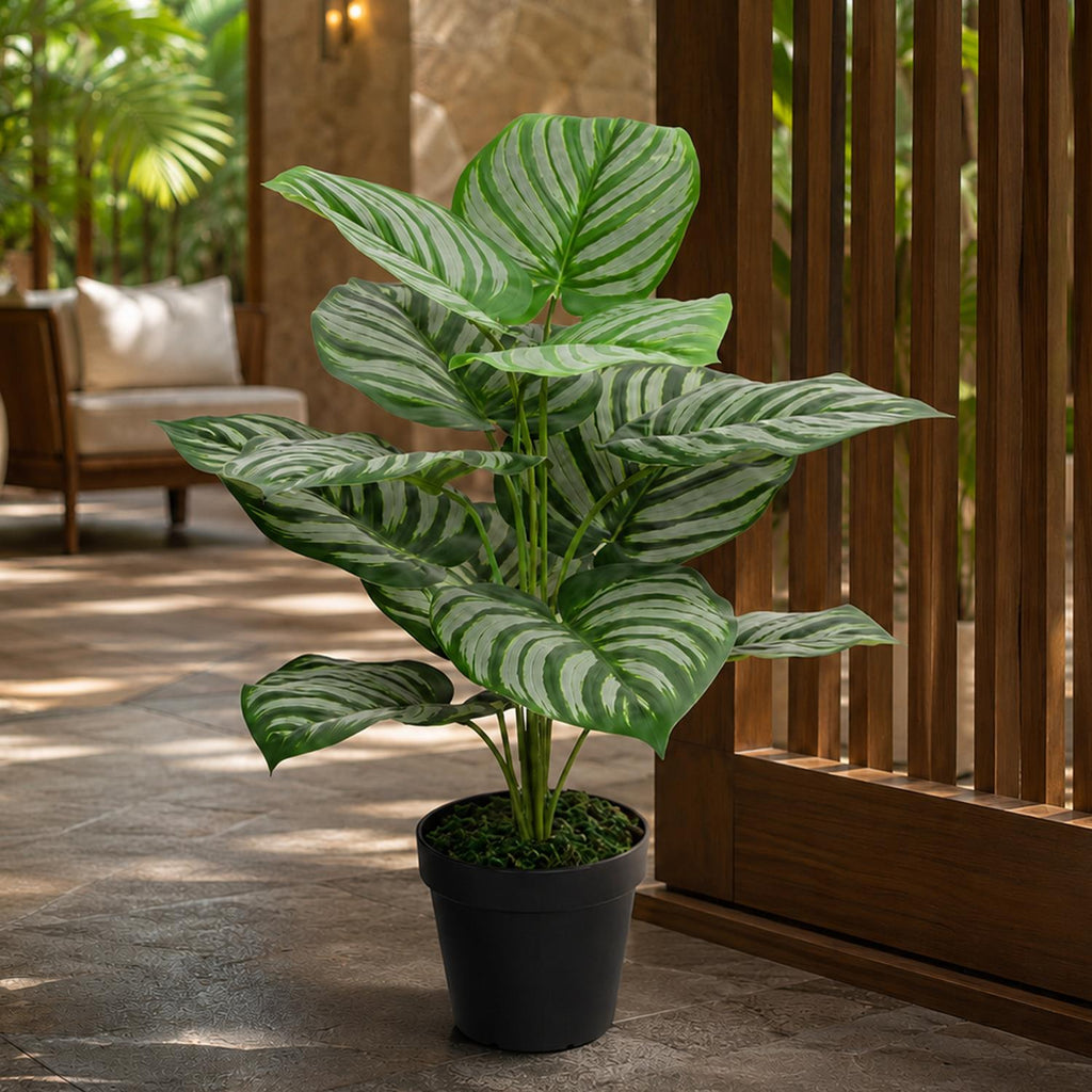 60cm Artificial Green Stripe Leaf Plant