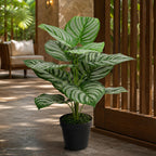 60cm Artificial Green Stripe Leaf Plant