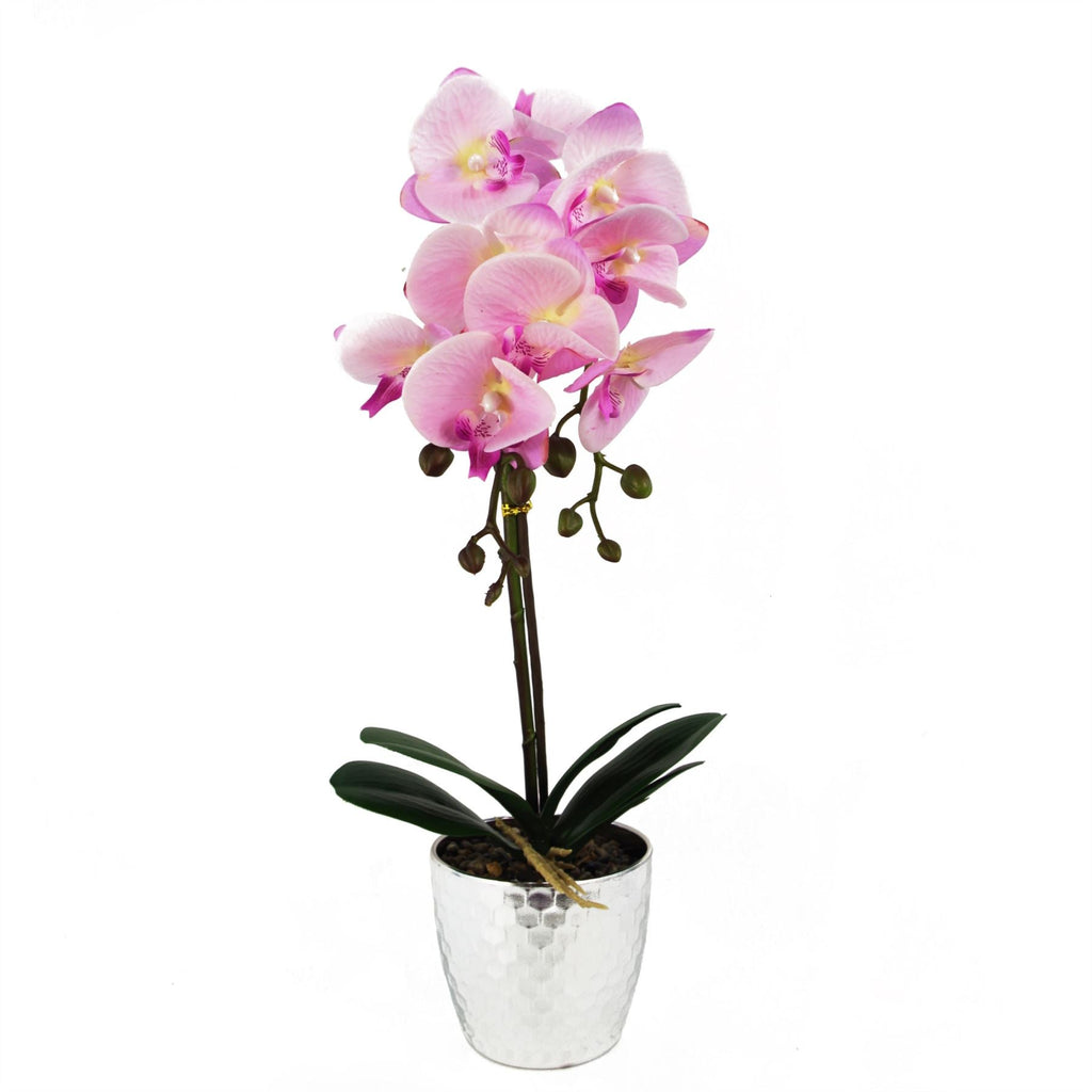 Artificial 50cm Phalaenopsis Orchid Light Pink Silver