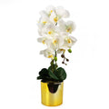 52cm Artificial Orchid Large White Gold