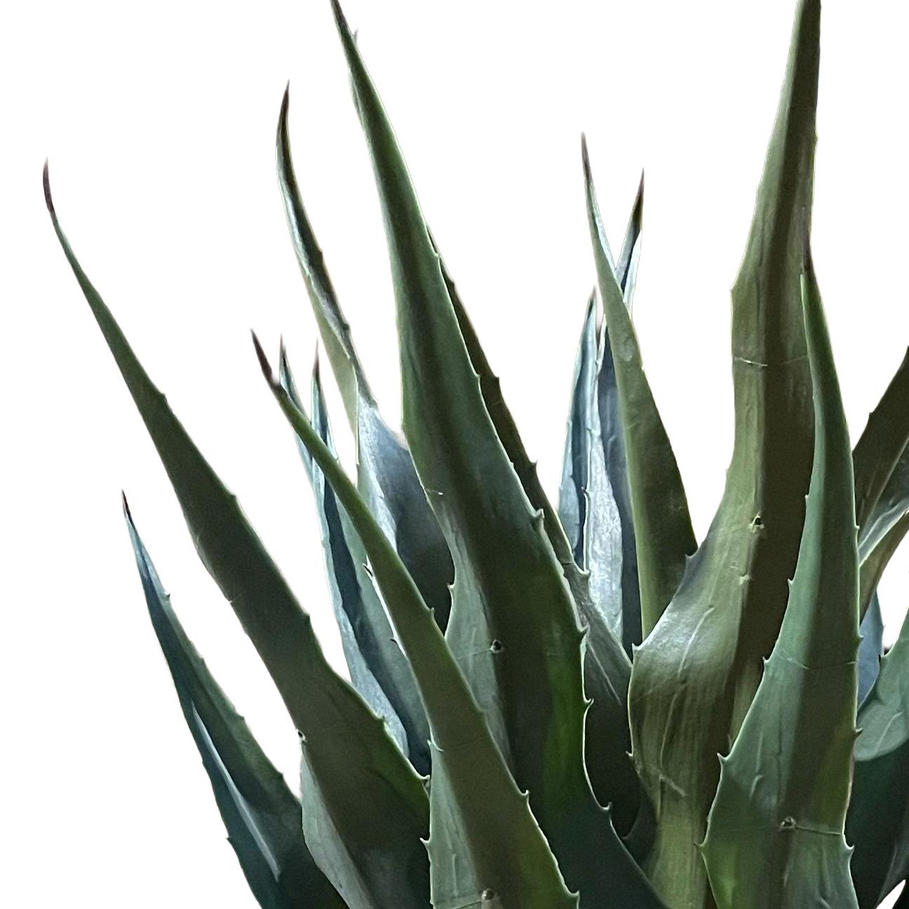 70cm Agave Tropical Yucca Artificial