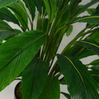 90cm Artificial Calathea Plant Dark Green