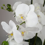 Artificial 60cm Orchid White Gold Ceramic Planter