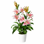 Artificial 90cm Lily Stargazer Style Lillies Plant Large Flowers Pink