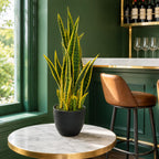70cm Artificial Sansevieria with pot