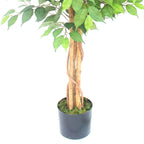 150cm Artificial Ficus Tree
