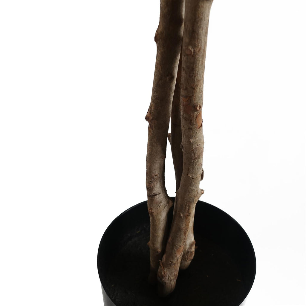 60cm Artificial Forsythia Tree