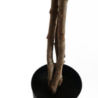 60cm Artificial Forsythia Tree