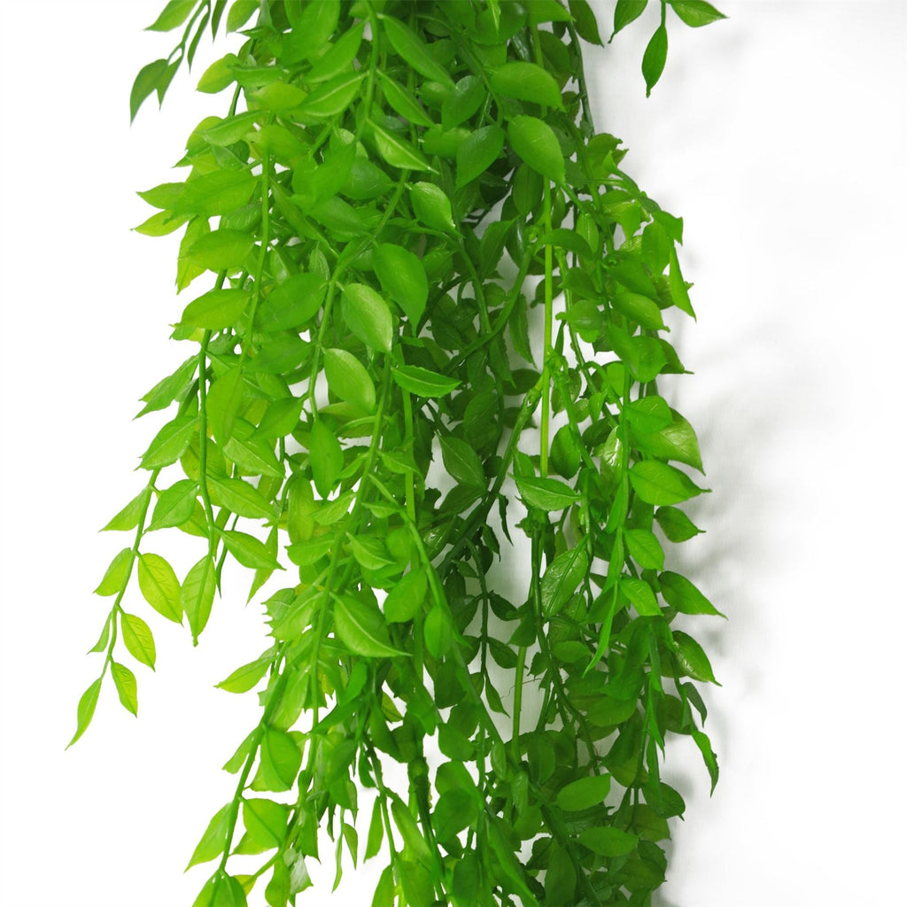 100cm Artificial Hanging String of Pearls Fern Plant Light Green