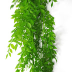 100cm Artificial Hanging String of Pearls Fern Plant Light Green