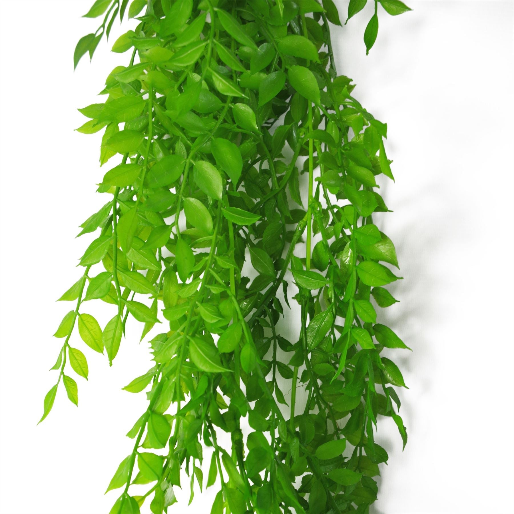 100cm Artificial Hanging String of Pearls Fern Plant Light Green