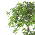 150cm Artificial Japanese Maple Tree Green