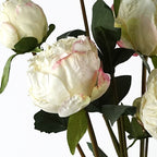 55cm Cream Peony Artificial Flowers Spray 4 Flowers 3 Buds