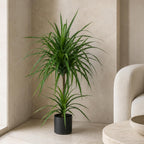 90cm Artificial Double Dracaena Plant