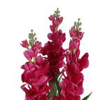 100cm Artificial Cymbidium Orchid Plant Dark Pink Flowers