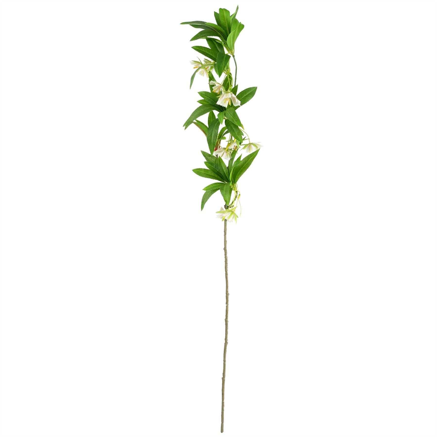 90cm Artificial Hainan Elaeocarpus Stem