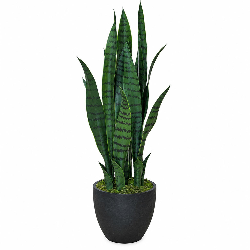 70cm Artificial Sansevieria Dark Green