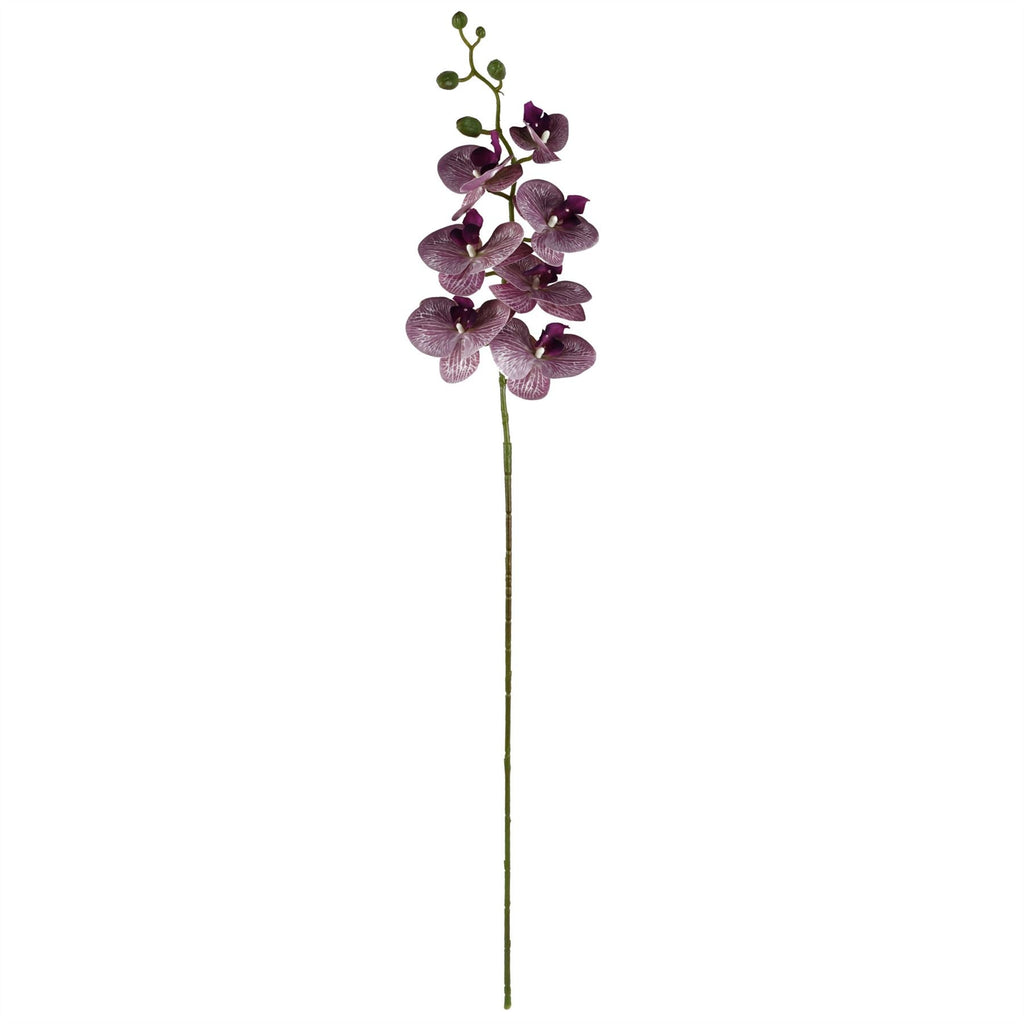 100cm Artificial Phalaenopsis Orchid Purple Stem