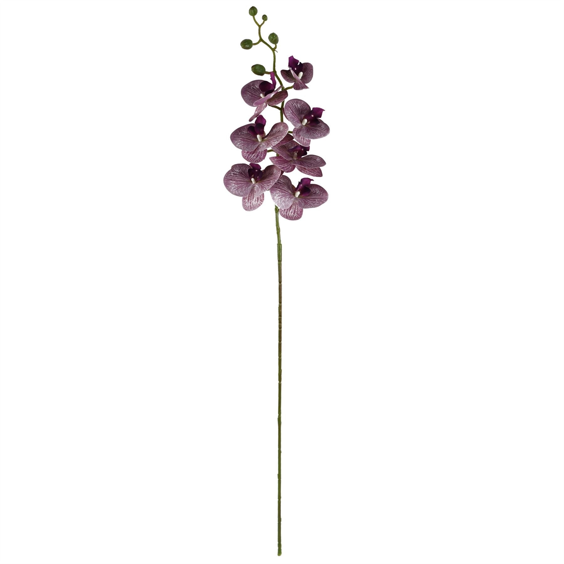 100cm Artificial Phalaenopsis Orchid Purple Stem