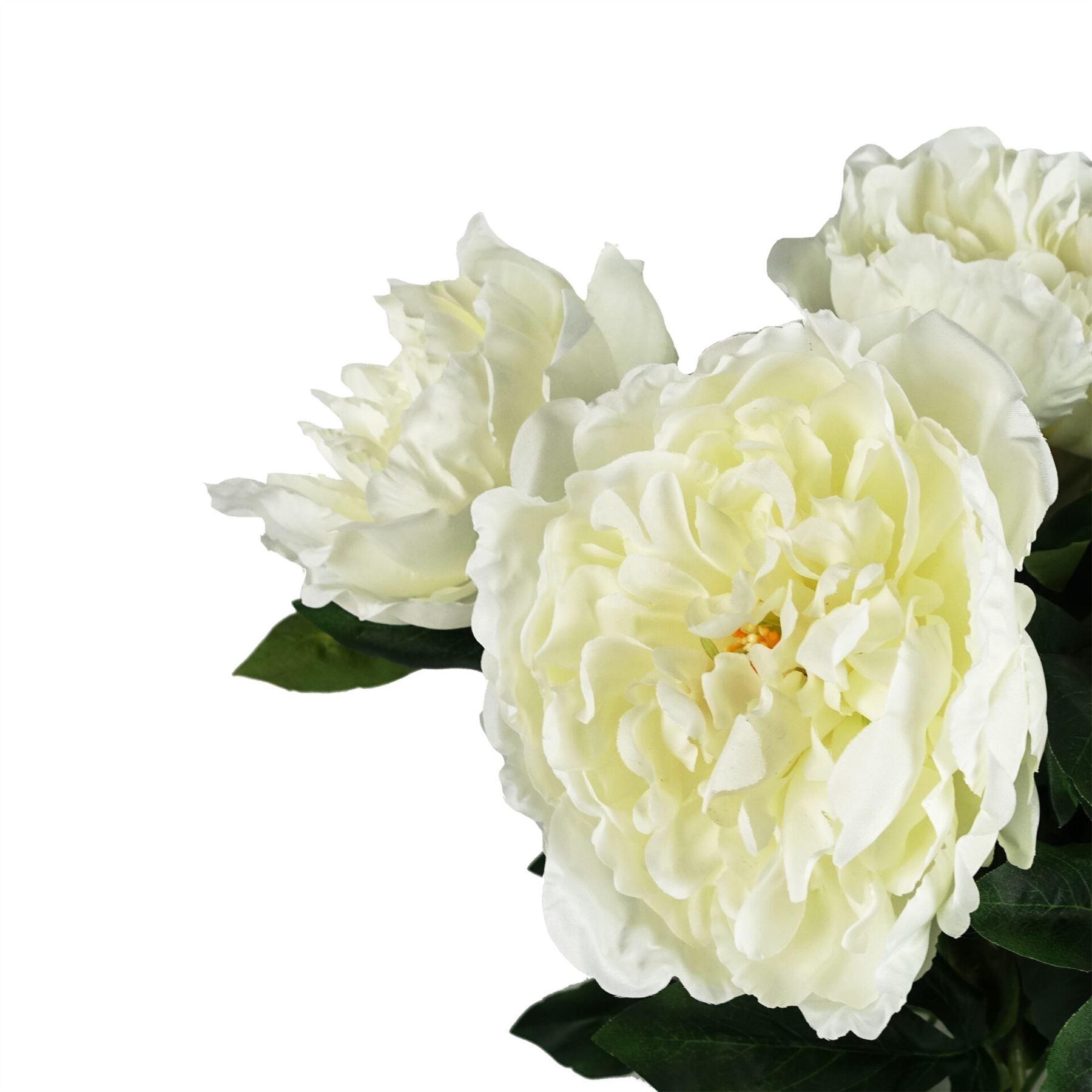 80cm Artificial Cream Peony Stem