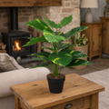 60cm Artificial Devil's Ivy Plant