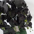 60cm Orchid Artificial Black White Ceramic Planter