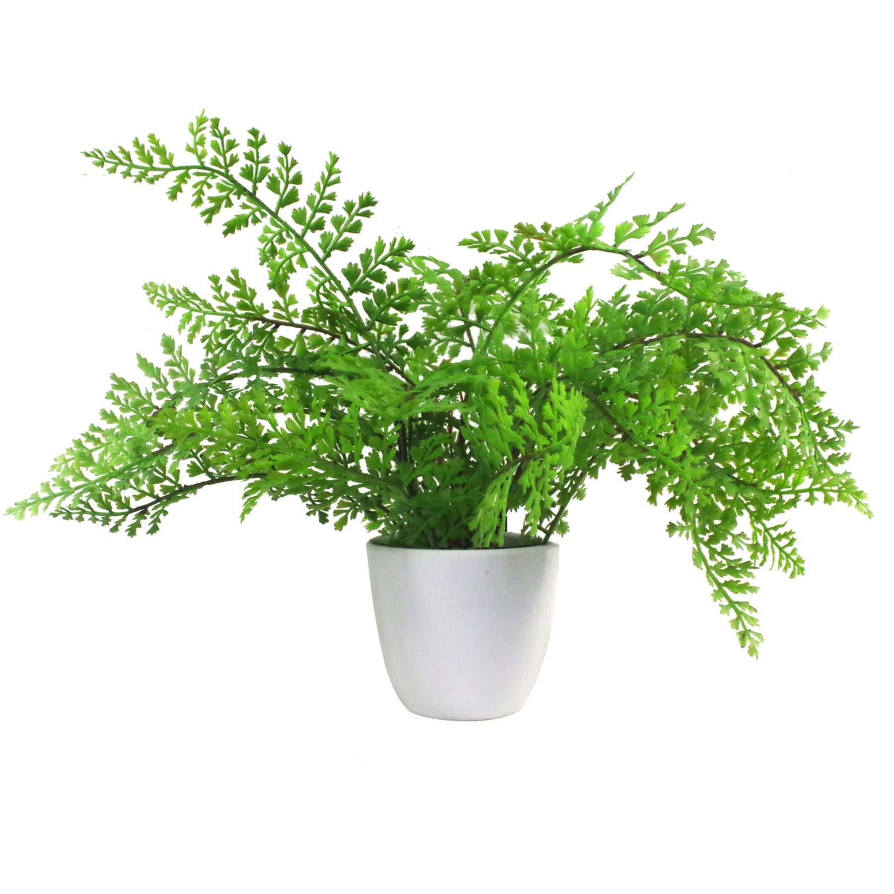 Faux 30cm Artificial Potted Royal Fern