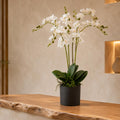 60cm Artificial Luxury Orchid Triple Stem White Realistic Plant