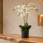 60cm Artificial Luxury Orchid Triple Stem White Realistic Plant