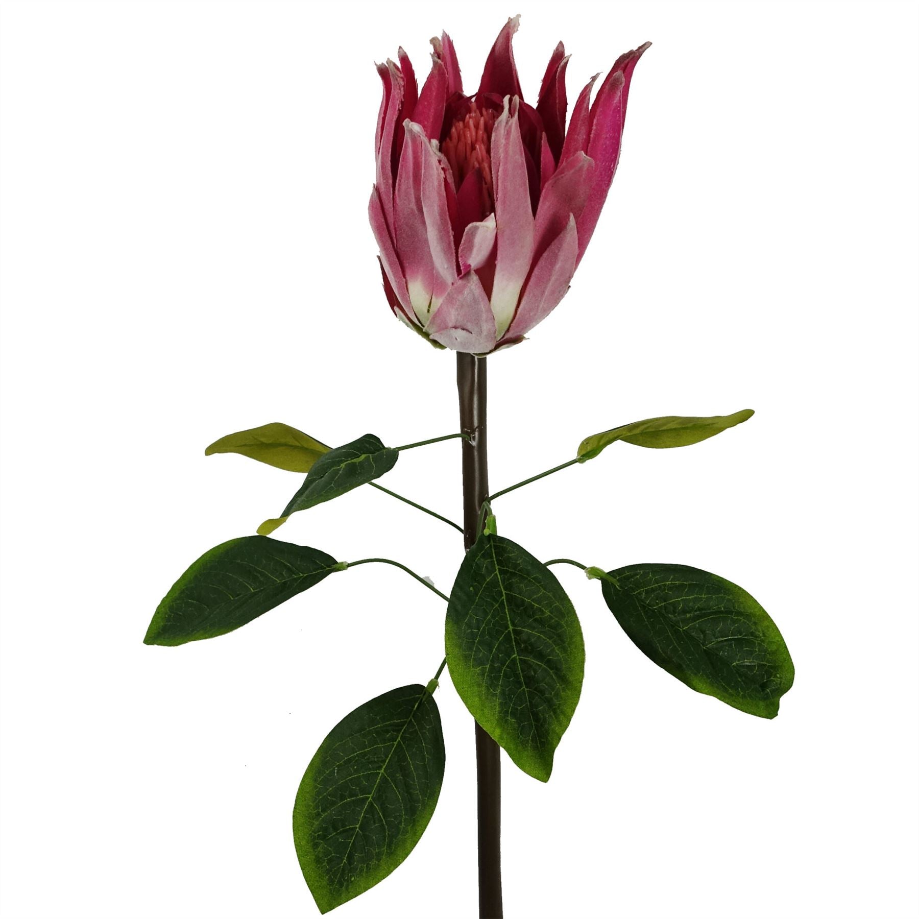 65cm Artificial Protea Sugarbush Flower Stem Pink