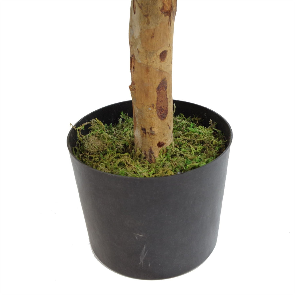 Artificial 100cm Dracaena Plant Tree with Pot Premium Range