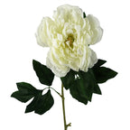 80cm Artificial Cream Peony Stem