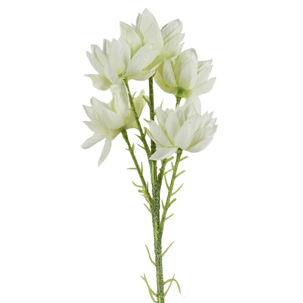60cm Artificial White Starflower Stem 5 Flowers