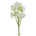 60cm Artificial White Starflower Stem 5 Flowers
