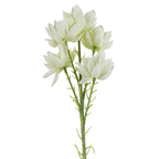 60cm Artificial White Starflower Stem 5 Flowers