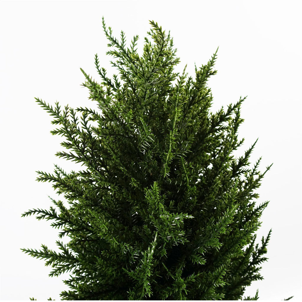 120cm Pair of Premium Artificial Cypress Spiral Topiary
