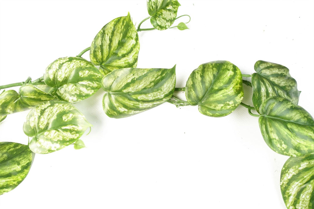 180cm Artificial Hanging Trailing Devil's Ivy Plant