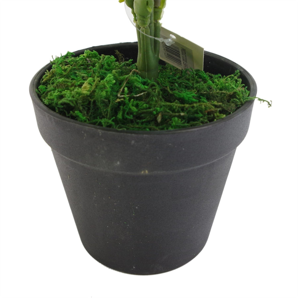 50cm Luxury Artificial Evergreen Fronded Fern Plant