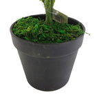 50cm Luxury Artificial Evergreen Fronded Fern Plant