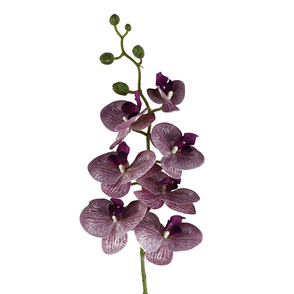 100cm Artificial Phalaenopsis Orchid Purple Stem