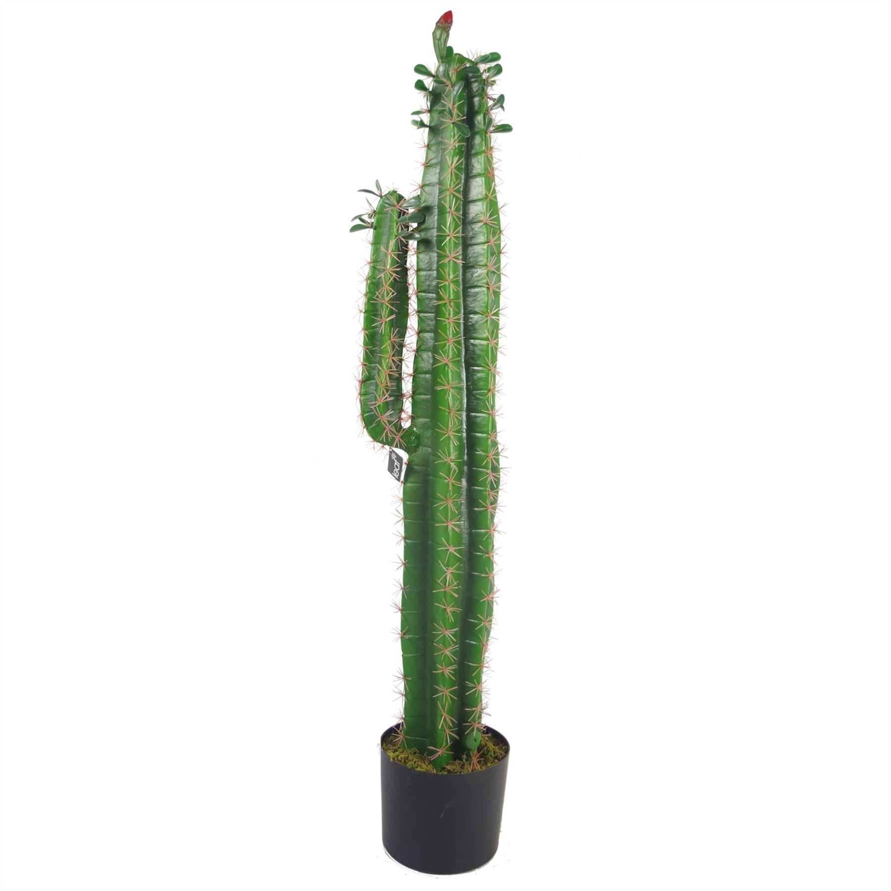 Artificial 100cm Premium Cactus with pot