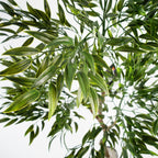 120cm UV Resistant Artificial Japanese Ficus Leaf Tree