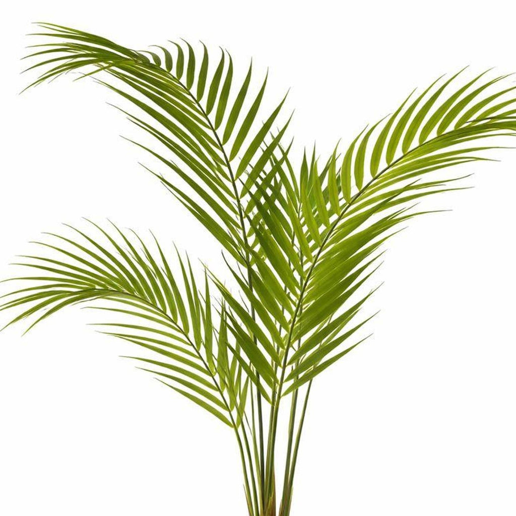 70cm Artificial Areca Palm Tree