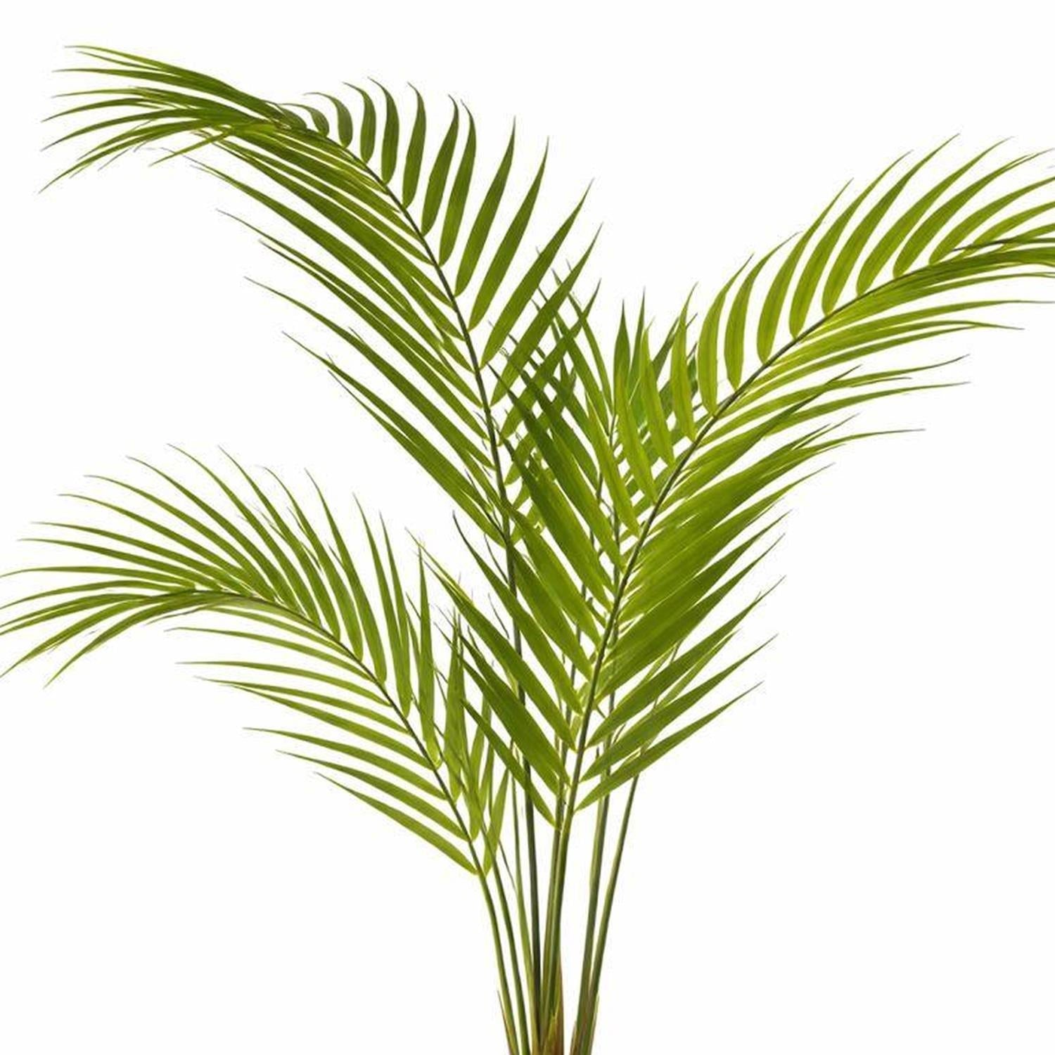 70cm Artificial Areca Palm Tree