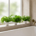 Pack of 3 x 30cm Artificial Ferns Southern Wood Lady and Royal Potted